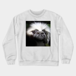 Cotton-top Tamarin Crewneck Sweatshirt